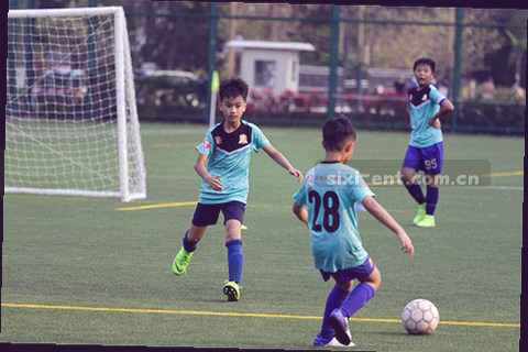 两列平行对比线条，标出差异点